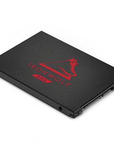 씨게이트 아이언울프 125 NAS SSD (250GB)