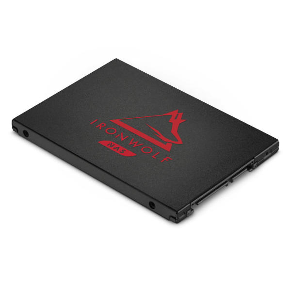 씨게이트 아이언울프 125 NAS SSD (4TB)