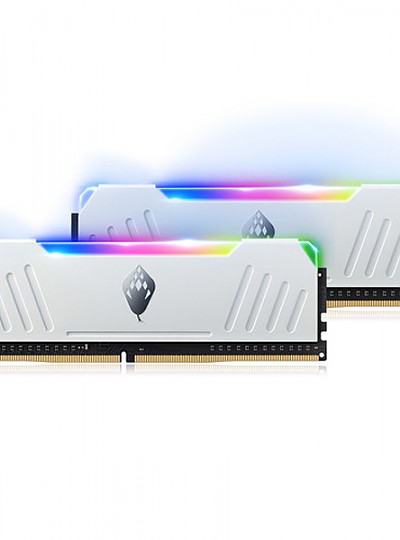 ANACOMDA DDR4 16G PC4-25600 CL16 ET RGB White 메모리 (8Gx2) 디앤디컴