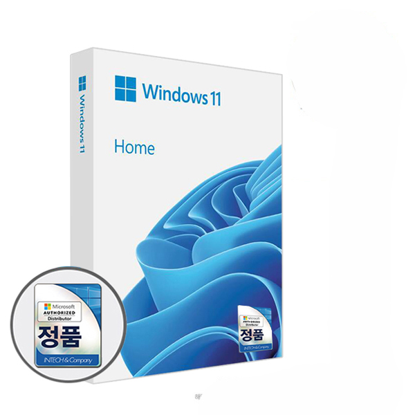 마이크로소프트 Windows 11 Home (FPP/한글/USB)