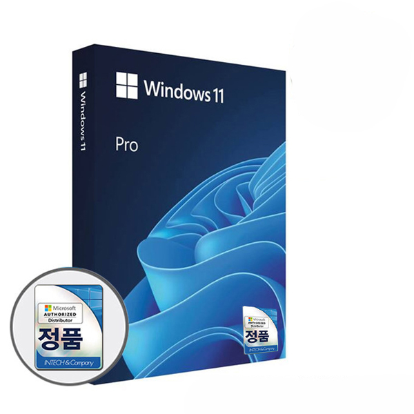 마이크로소프트 Windows 11 Pro (FPP/한글/USB)
