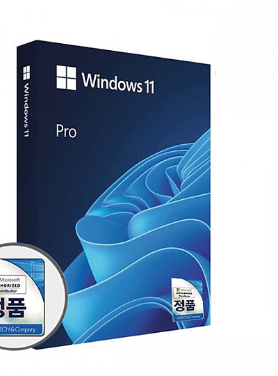 마이크로소프트 Windows 11 Pro (FPP/한글/USB)